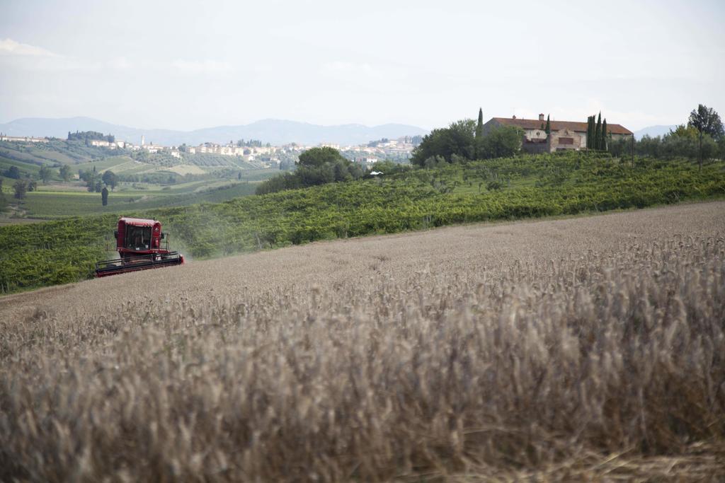 Tenuta Di Colle Alberti Agriturismo Villa Cerreto Guidi Exteriör bild