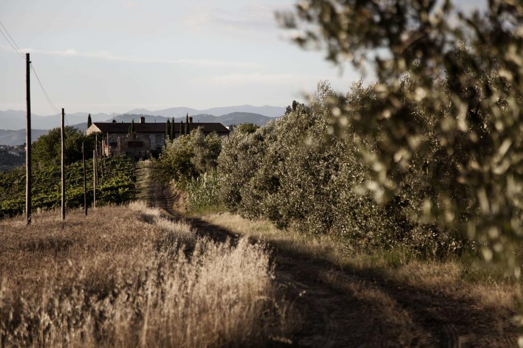 Tenuta Di Colle Alberti Agriturismo Villa Cerreto Guidi Exteriör bild