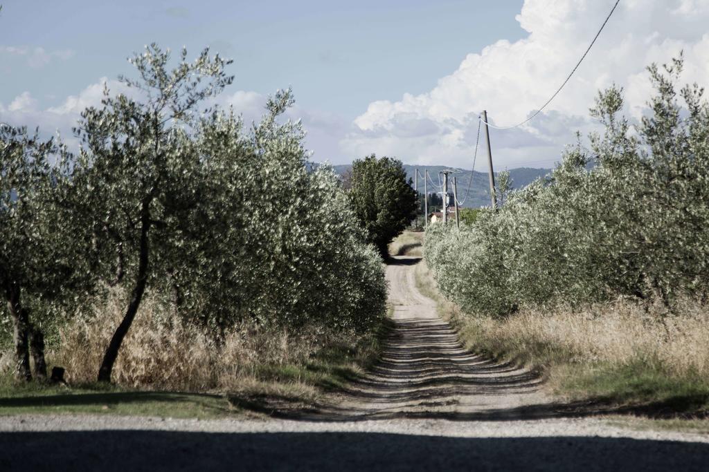 Tenuta Di Colle Alberti Agriturismo Villa Cerreto Guidi Exteriör bild