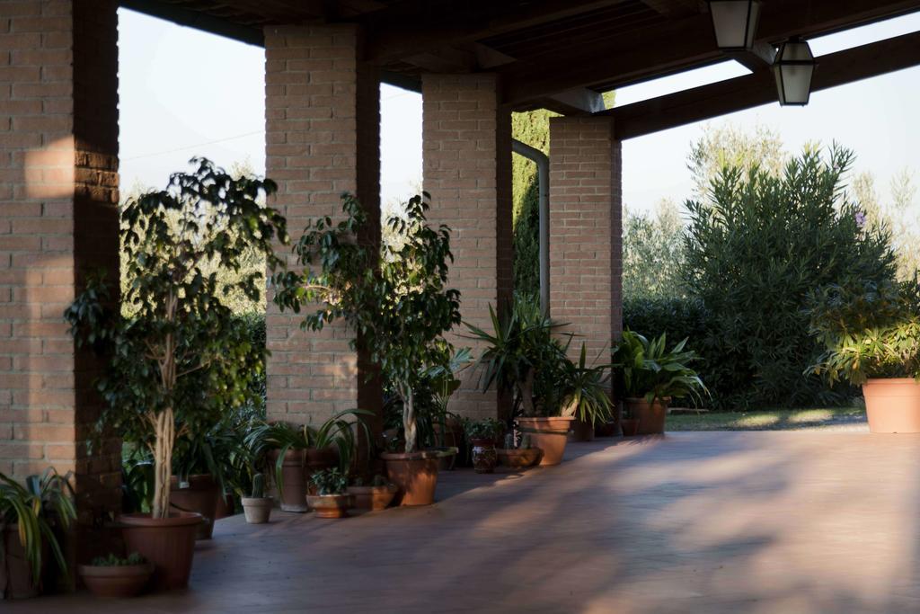 Tenuta Di Colle Alberti Agriturismo Villa Cerreto Guidi Exteriör bild